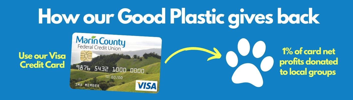 How our Good Plastic Program works