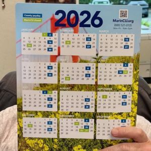 Person holding 2026 wall calendar